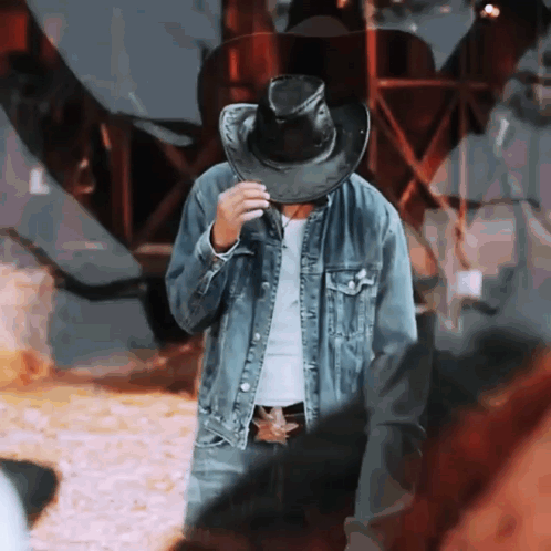 Man In Cowboy Hat And Denim Jacket GIF