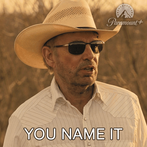 Man In Cowboy Hat And Sunglasses Saying You Name It GIF