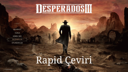 Man in Cowboy Hat Desperados III