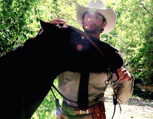 Man In Cowboy Hat Holding Horse GIF