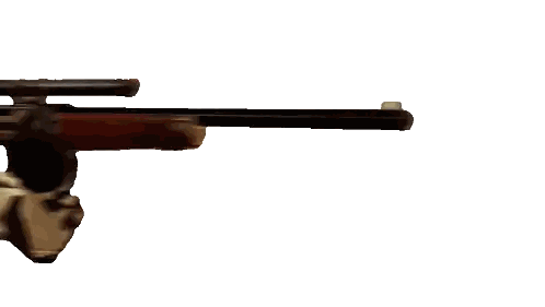 Man in Cowboy Hat Holding Rifle