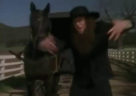 Man in Cowboy Hat Hugging Black Horse