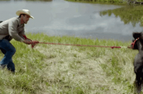 Man In Cowboy Hat Pulling Rope With Horse GIF