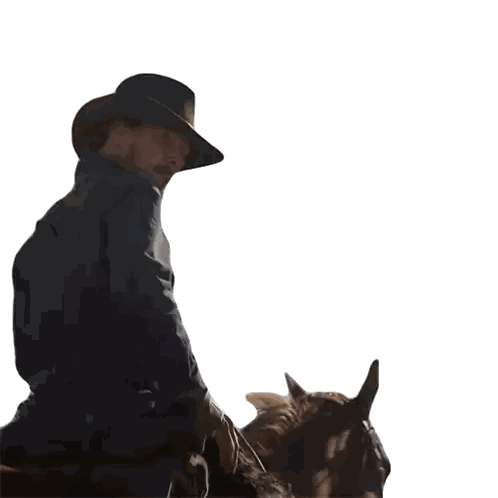 Man in Cowboy Hat Riding Horse