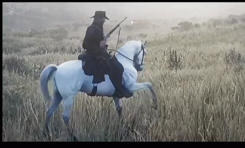 Man in Cowboy Hat Riding White Horse