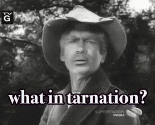 Man In Cowboy Hat Saying What In Tarnation GIF