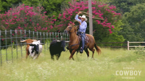 Man in Cowboy Hat Watching Cowboys on Horses
