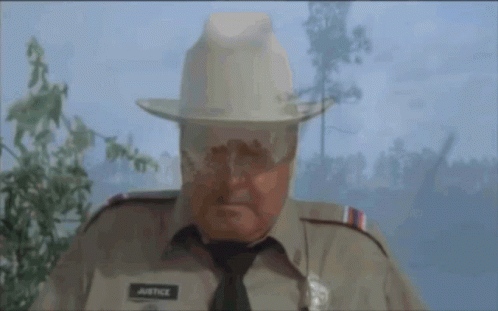 Man In Cowboy Hat With Justice Shirt GIF