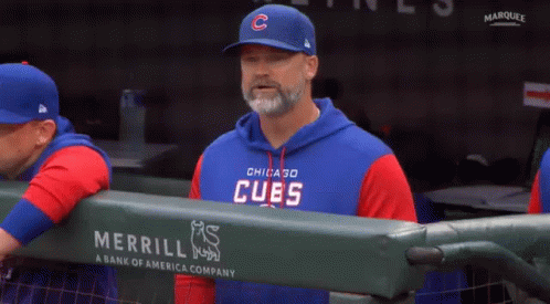 Man In Cubs Jersey In Dugout GIF