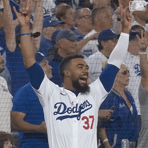 Man in Dodgers Jersey in Stadium