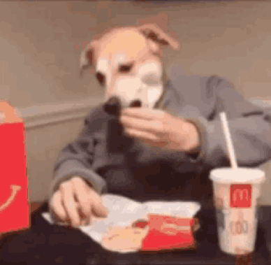 Man in Dog Mask Eating McDonald's Meal