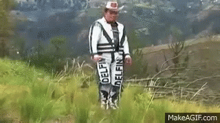 Man In Dolphin Outfit Standing In Field GIF