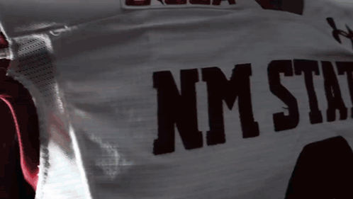 Man in E-USA NM State Football Jersey