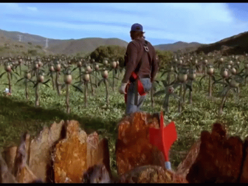Man in Field With Red Arrow Pointing to Rock