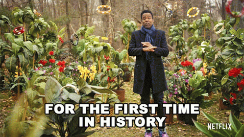 Man in Flower Garden Netflix