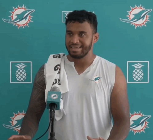Man In Front Of Dolphins Backdrop GIF