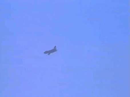 Man in Front of Plane 403