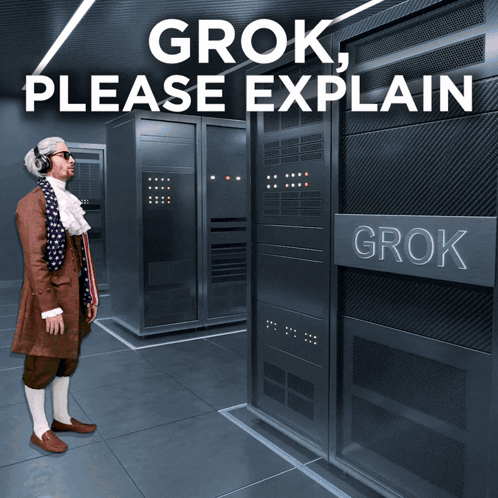 Man In Front Of Servers Grok Please Explain