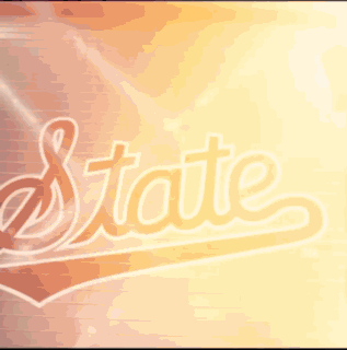 Man in Front of Wall Saying State