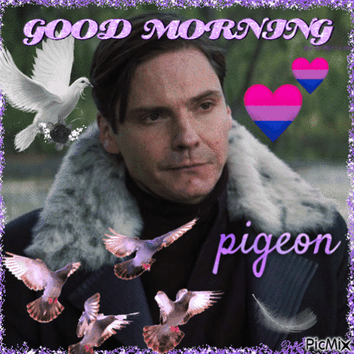 Man in Fur Coat Surrounded by Pigeons Good Morning Pigeon