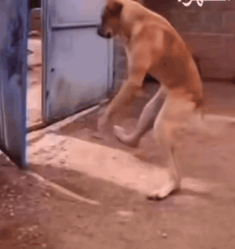 Man In Glasses And Tie With Great Miracles And Wonders GIF