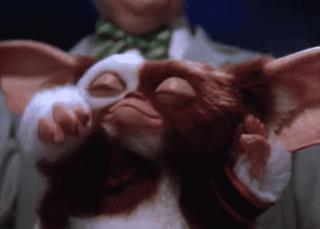 Man in Green Bow Tie Holding Gizmo
