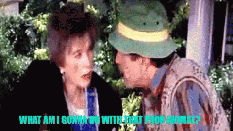 Man in Green Hat Talking to Woman With Caption What Am I Gonna Do With That Poor Animal
