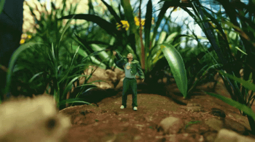 Man in Green Jacket Standing in Lush Green Field