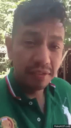 Man in Green Polo Shirt with White Horse