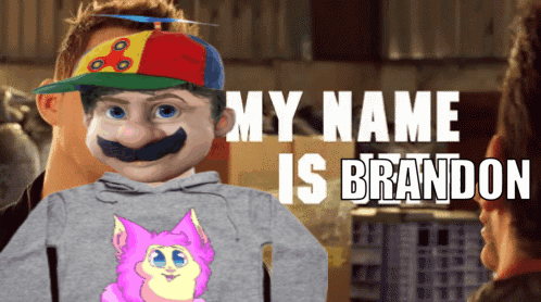 Man In Hat And Hoodie With Pink Cat Saying My Name Is Brandon GIF