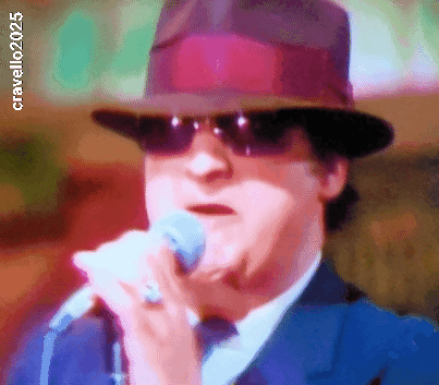 Man in Hat and Sunglasses Singing Into Microphone