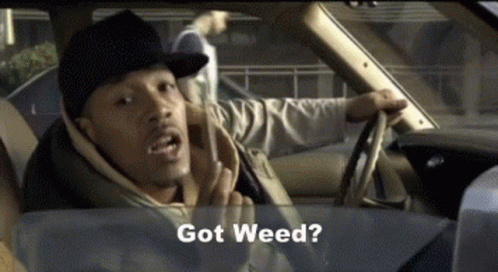 Man In Hat Driving Car Says Got Weed? GIF