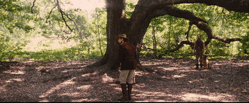 Man in Hat Next to Tree in Forest