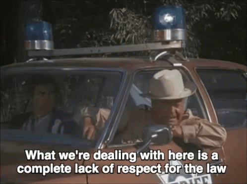 Man In Hat Police Car Says What We're Dealing With GIF