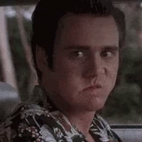 Man In Hawaiian Shirt In Back Seat GIF