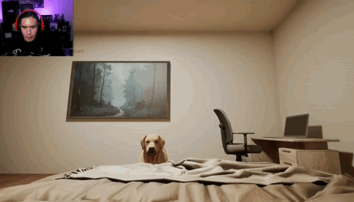 Man in Headphones Playing Video Game With Dog