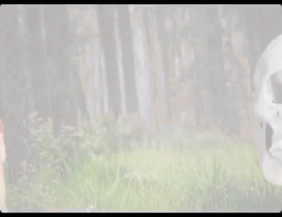 Man In Hooded Jacket With White Mask Who's The Vote GIF