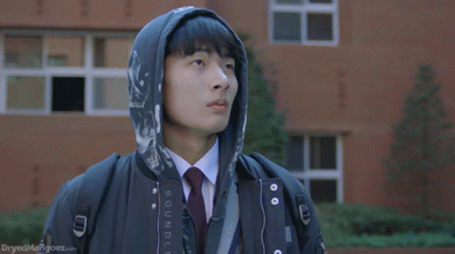 Man In Hoodie Flipping Off GIF