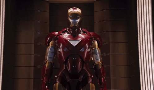 Man in Iron Man Suit
