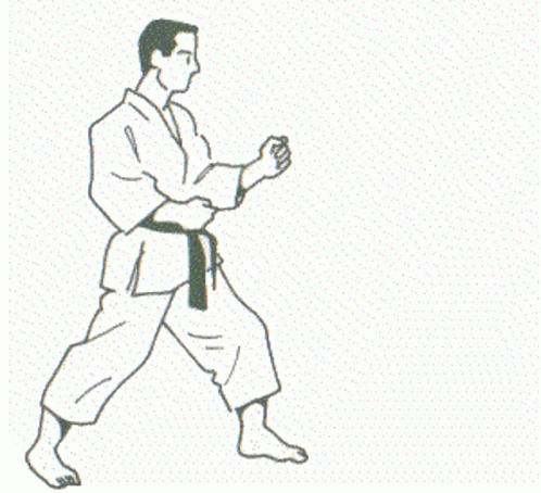 Man In Karate Uniform GIF