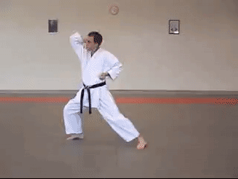 Man in Karate Uniform with Black Belt