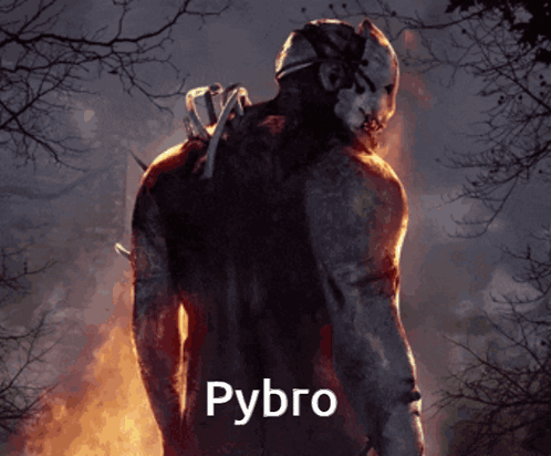 Man in Mask in Front of Fire with Pybro