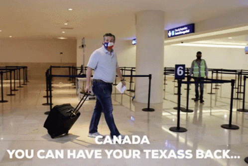 Man in Mask With Suitcase Walking Through Airport Saying Canada You Can Have Your T