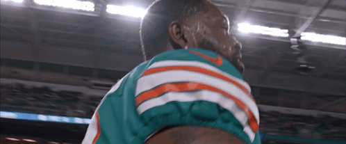 Man in Miami Dolphins Jersey Standing in Stadium