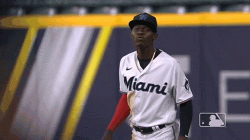 Man In Miami Jersey GIF