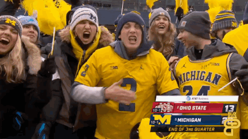 Man in Michigan Jersey Stands in Crowd