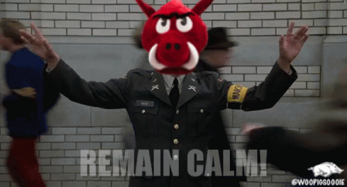 Man in Military Uniform With Red Boar Mask Saying Remain Calm