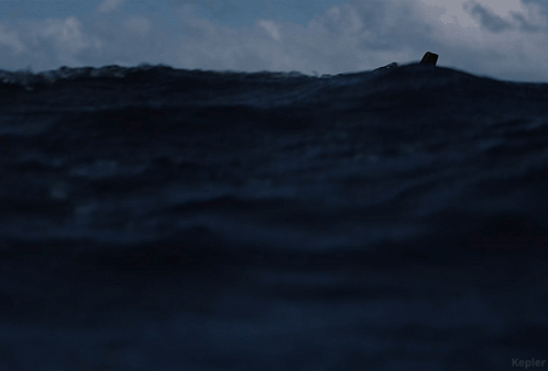 Man in Ocean Kepler