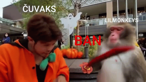 Man in Orange Jacket Next to Monkey With Ban