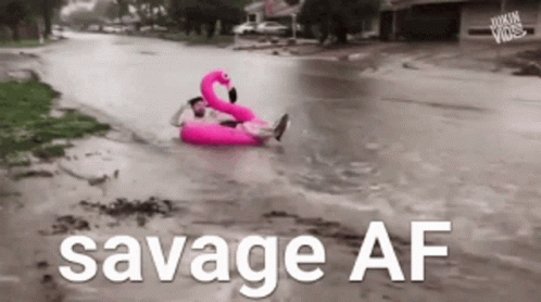 Man in Pink Flamingo Float